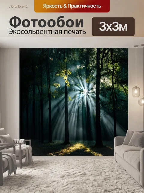 Фотообои темный фон, создающий атмосферу таинственного леса, где сквозь ветви прорываются блики света,