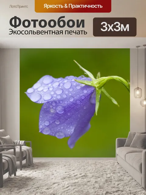 Фотообои Колокольчик под дождем