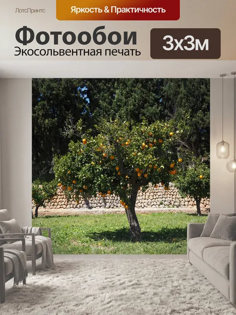 Фотообои Апельсиновое дерево