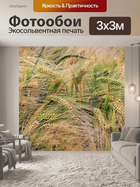 Фотообои Пшеница
