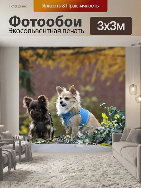 Фотообои Две собаки