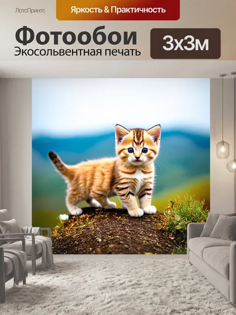 Фотообои котята, исследующие незнакомый мир, стоят на высоком холме