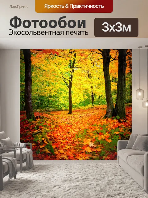 Фотообои осенний лес с яркими листьями и опавшими листьями на земле