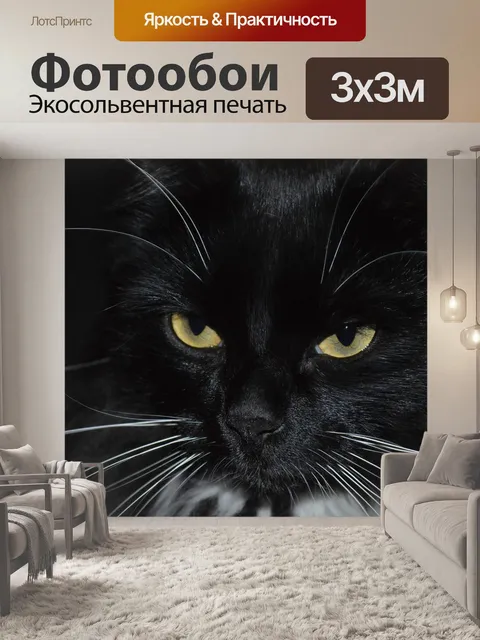 Фотообои Cat