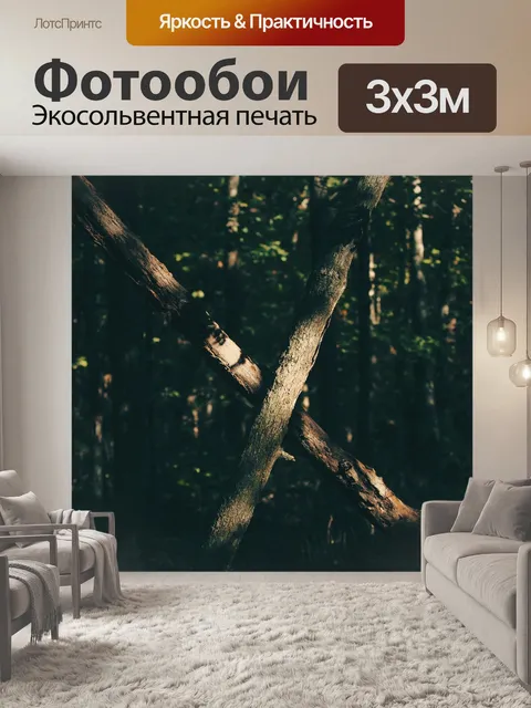 Фотообои Деревья