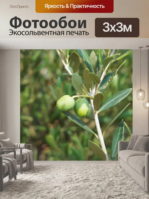 Фотообои Оливки
