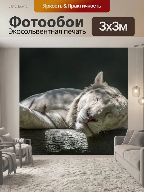 Фотообои Белый тигр