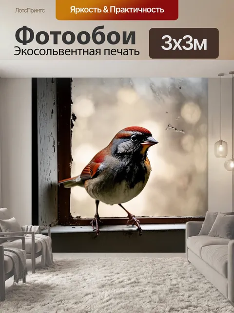 Фотообои животные в стиле нуар, воробей, распустивший свои перья на фоне обветренного окна старинного здания