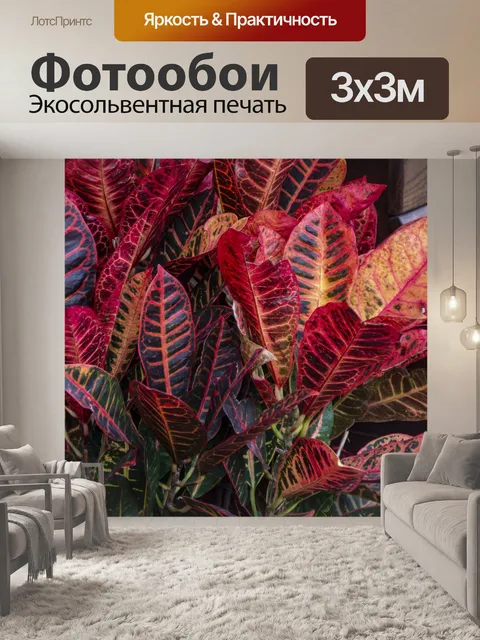 Фотообои Садовый кротон