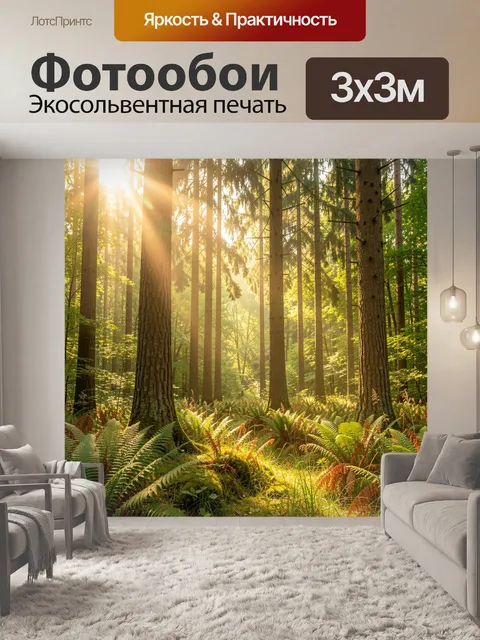Фотообои Солнечный лес с папоротниками