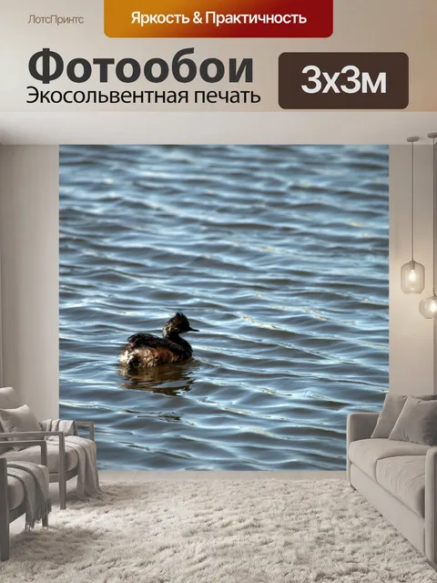 Фотообои Утка в озере