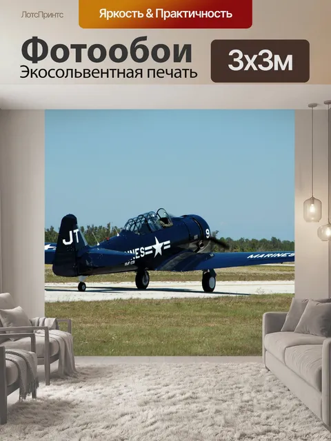 Фотообои Самолет на авиашоу