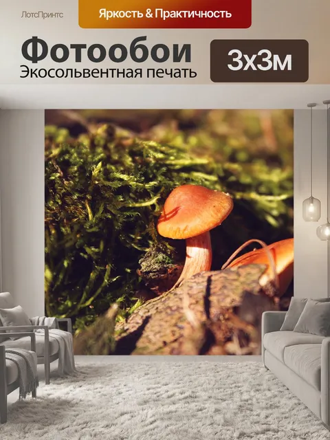 Фотообои Грибы