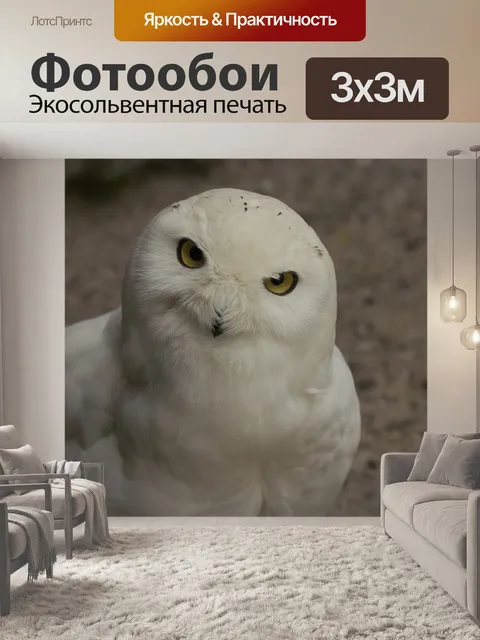 Фотообои Снежная сова