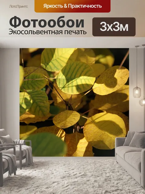 Фотообои Листья