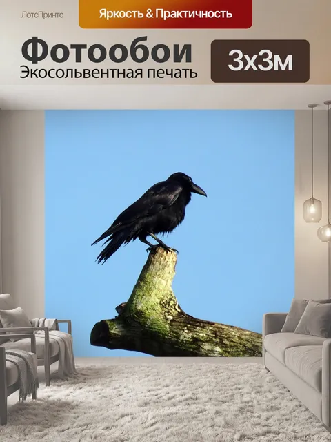 Фотообои Птица