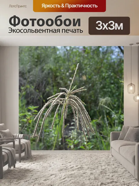Фотообои Трава
