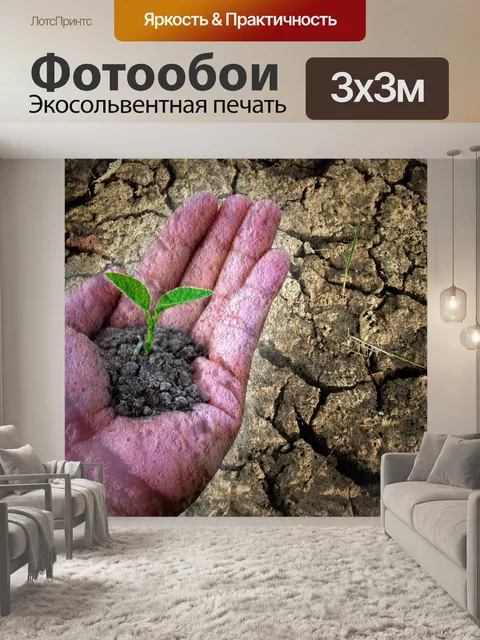 Фотообои Маленькое дерево
