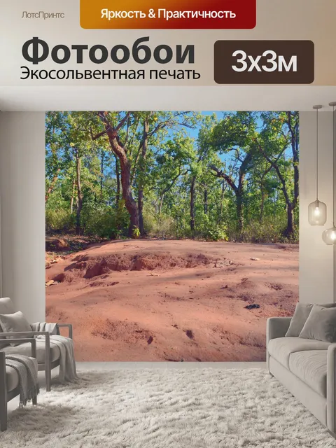 Фотообои Деревья и лес 25