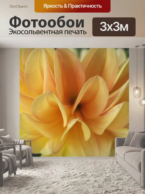 Фотообои Персиковый георгин