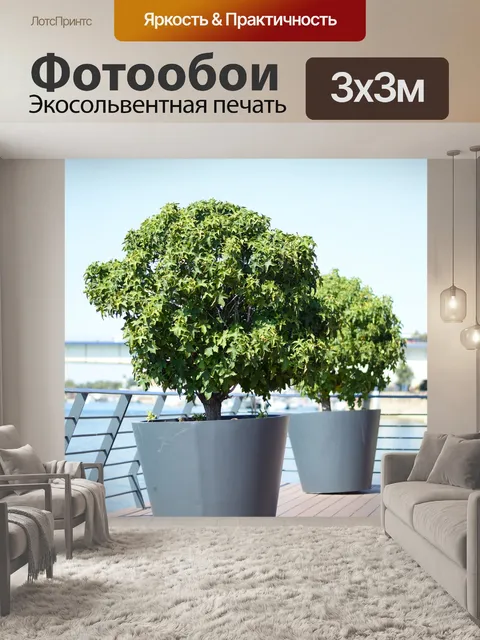 Фотообои Растения