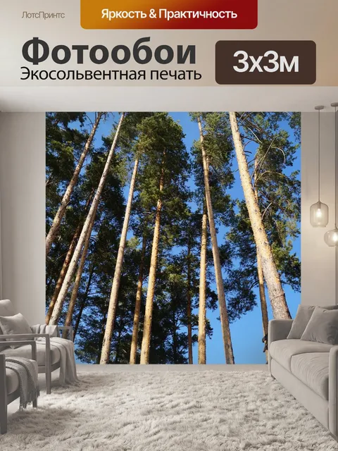 Фотообои Сосны