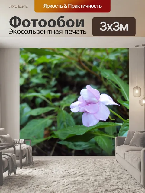 Фотообои Дикий цветок Фиолетовый