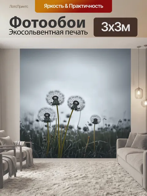 Фотообои мохнатые одуванчики на фоне серых облаков