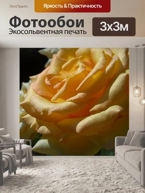 Фотообои Роза