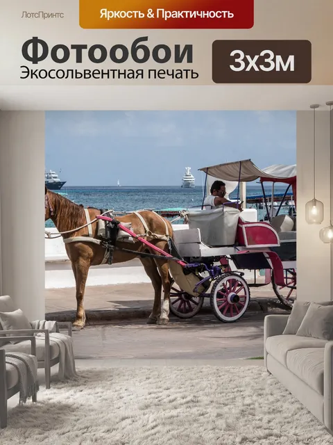 Фотообои Лошадь