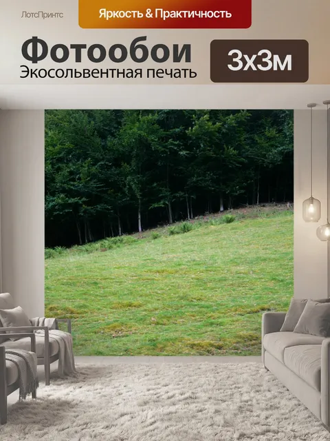 Фотообои Горный лес