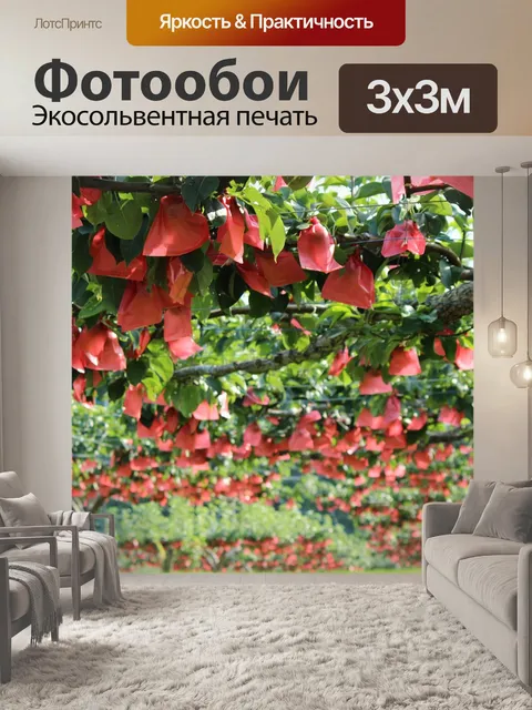 Фотообои Фукусима