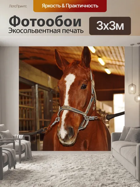 Фотообои Лошадь
