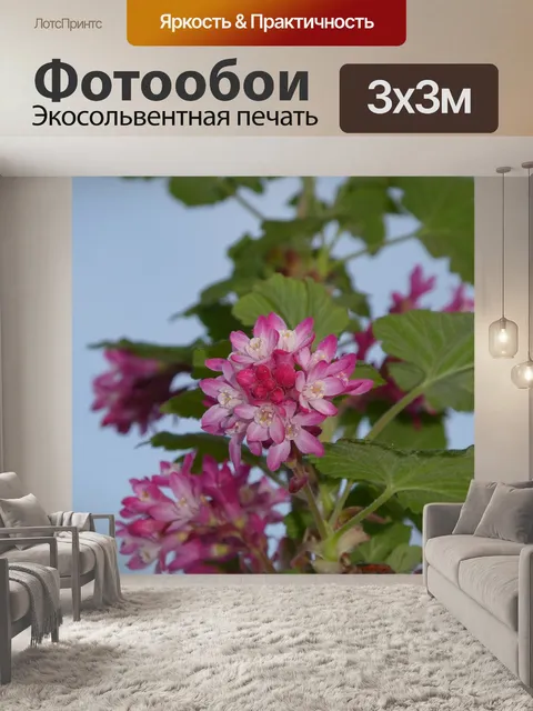 Фотообои Розовый цветок