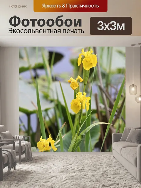 Фотообои Озеро