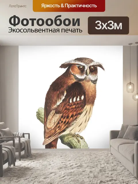 Фотообои Винтажная сова