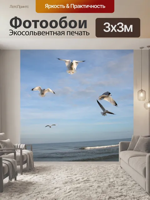 Фотообои Чайки