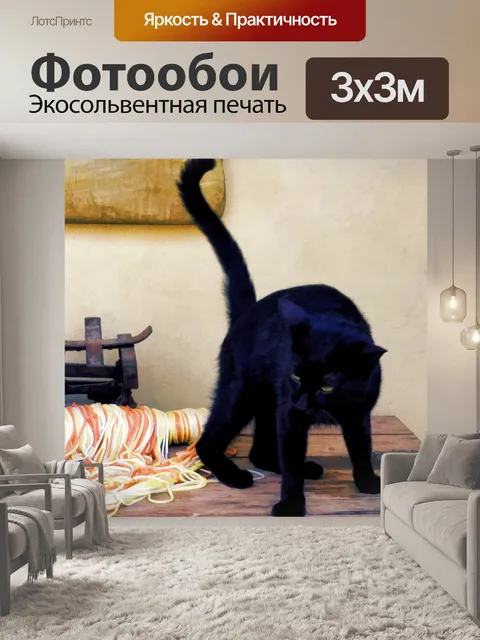 Фотообои черная кошка