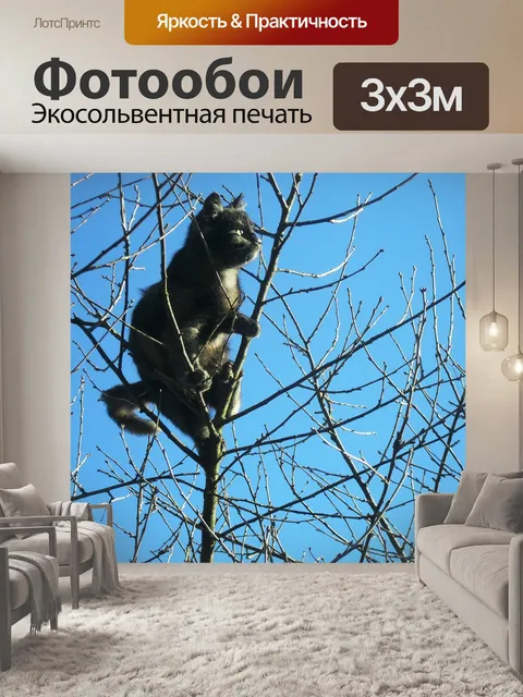 Фотообои Кошка