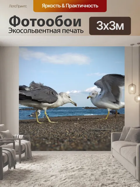 Фотообои Небо