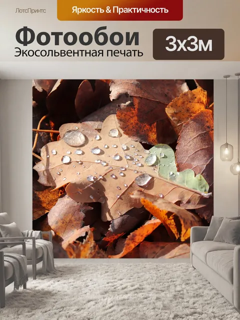 Фотообои Осенний дождь
