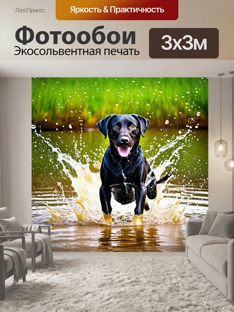 Фотообои лабрадор в грязном озере