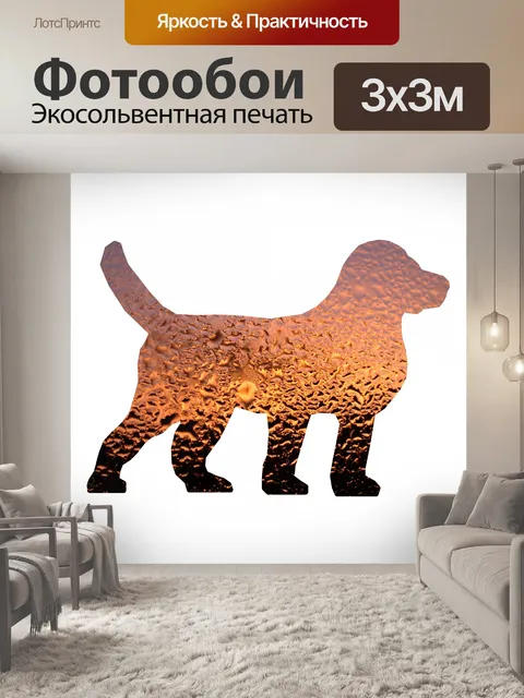 Фотообои стекло собака