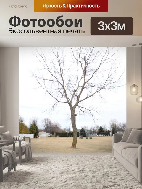 Фотообои Одно дерево стоит в одиночестве