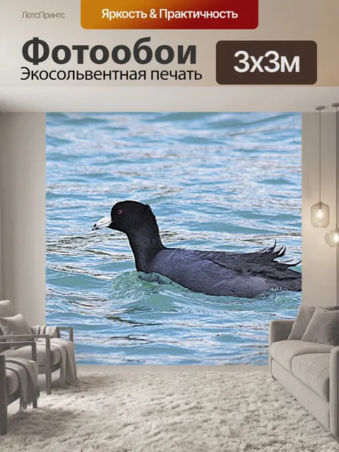 Фотообои Американское плавание в озере