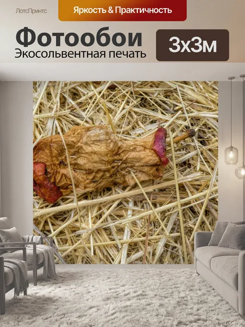 Фотообои Ядро Apple в Hay
