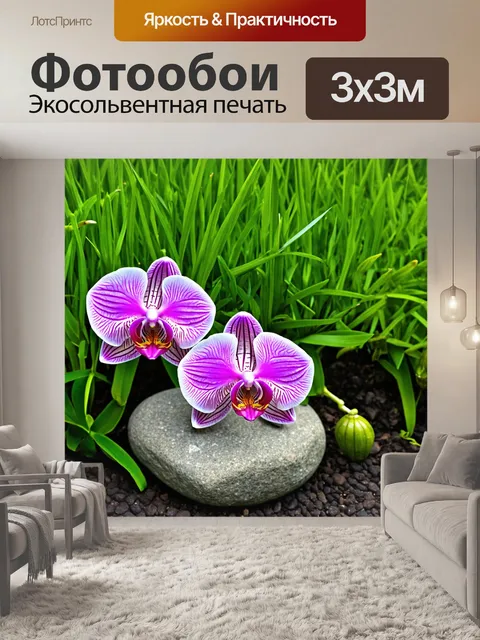 Фотообои орхидея в малом саду с яркими зелеными травами и красивым камнем