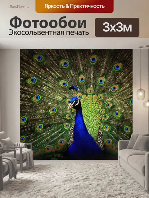 Фотообои Павлин