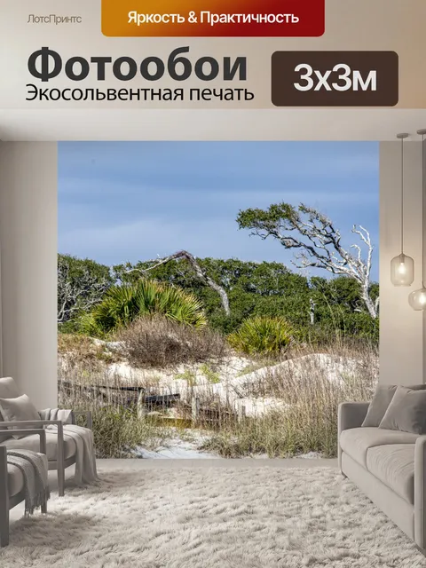 Фотообои Пляжные песчаные дюны