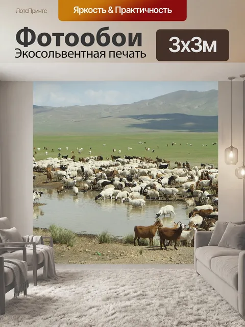 Фотообои Монголия
